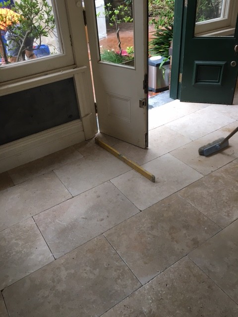 catmint interior design